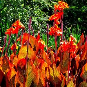 Meet your Posher, Kat